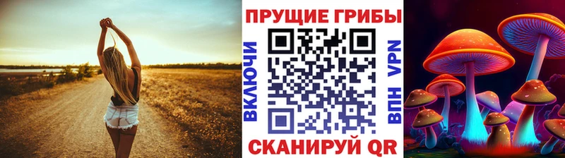 купить  цена  Сухой Лог  Псилоцибиновые грибы Psilocybine cubensis 